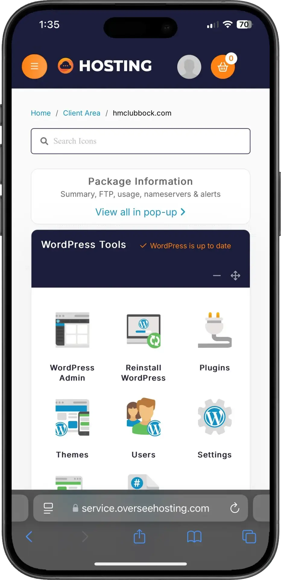 Iphone Hosting And Website Managment WordPress Website Development Agency Website Hosting and Maintenance